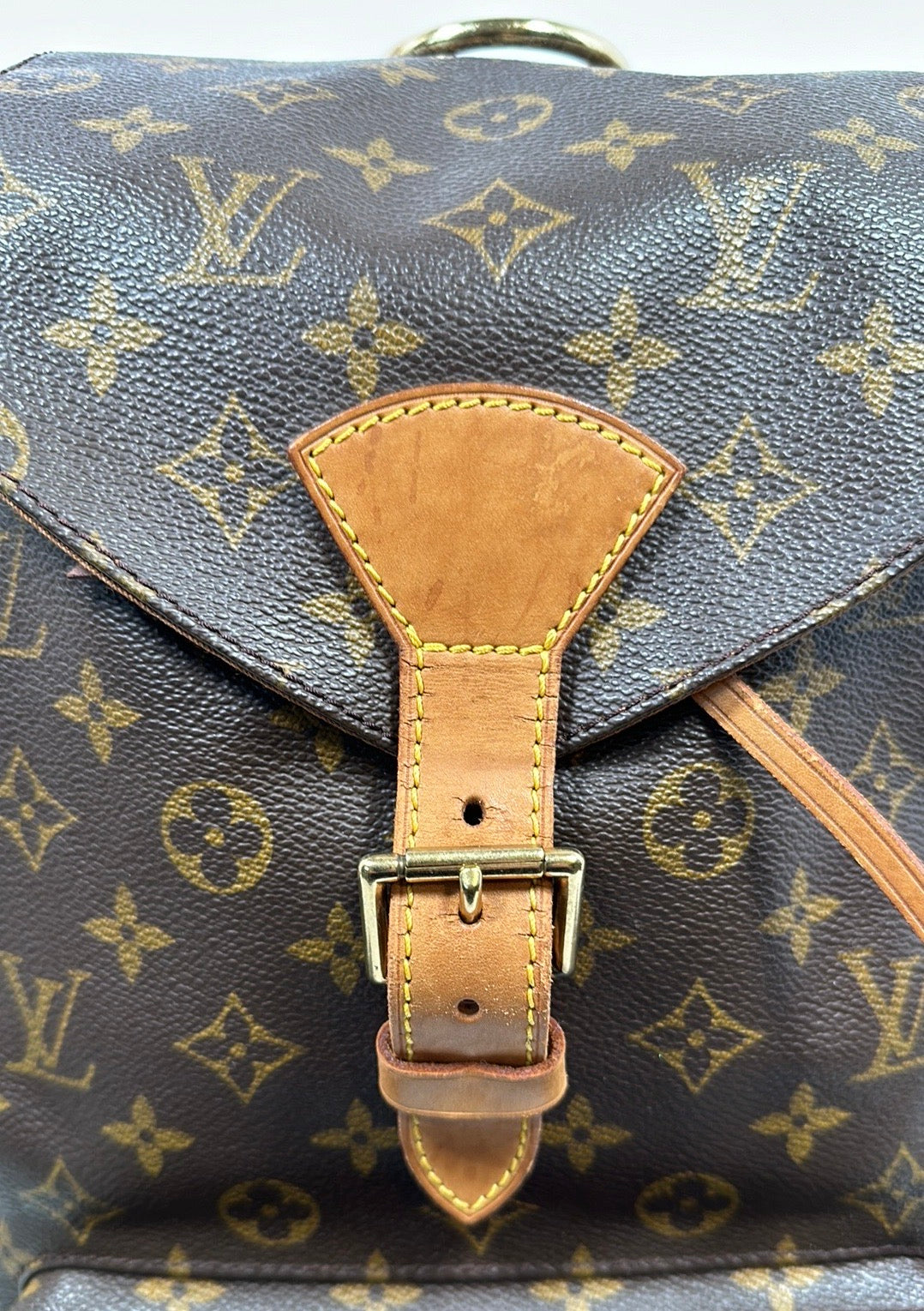 Louis Vuitton Monogram Montsouris GM Backpack